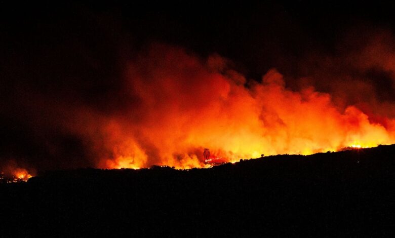 Evacuaciones, ola de calor… Actualización sobre el incendio que asola los Pirineos Orientales Evacuaciones, ola de calor… Actualización sobre el incendio que asola los Pirineos Orientales